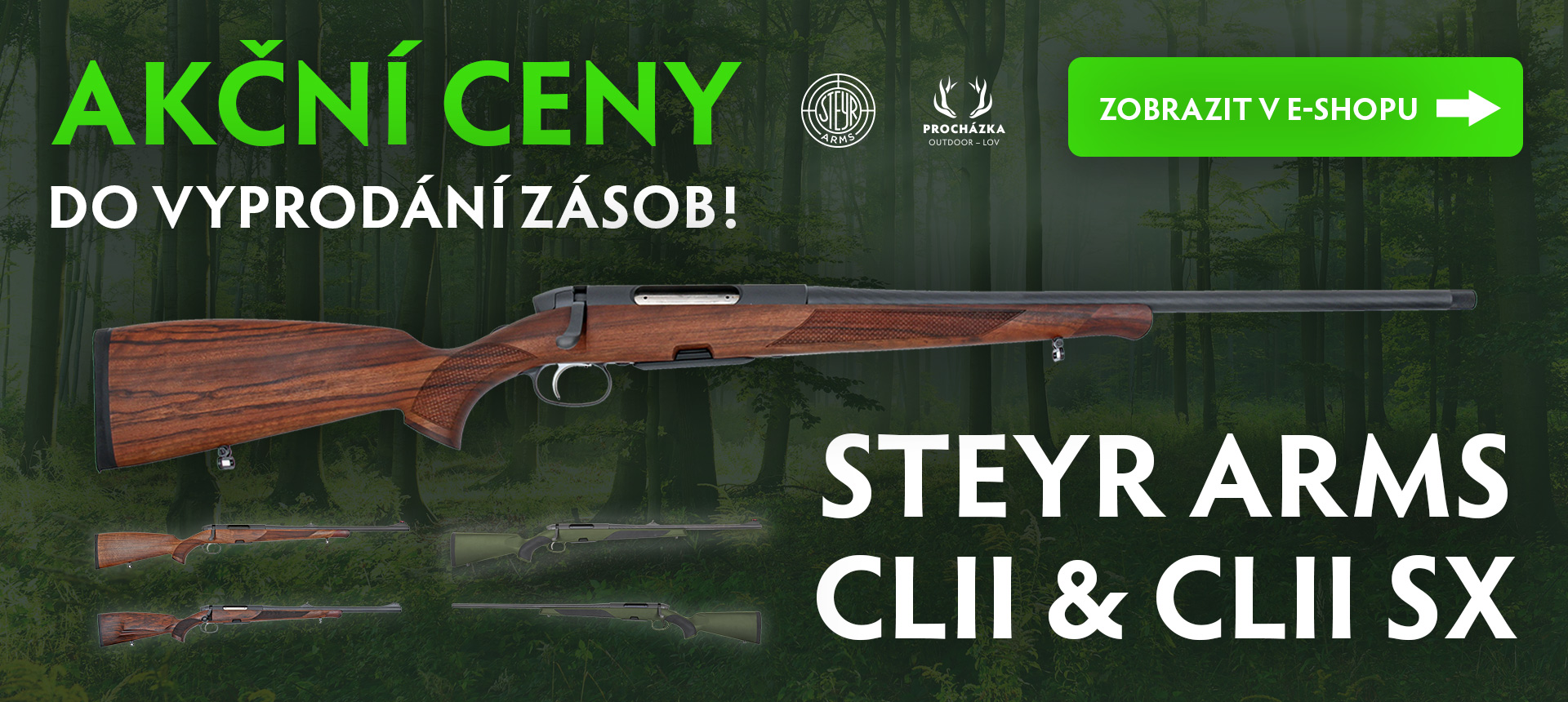 Steyr ARMS