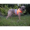 183828 3 zahori rudel reflexni navlek pro psy+(1)