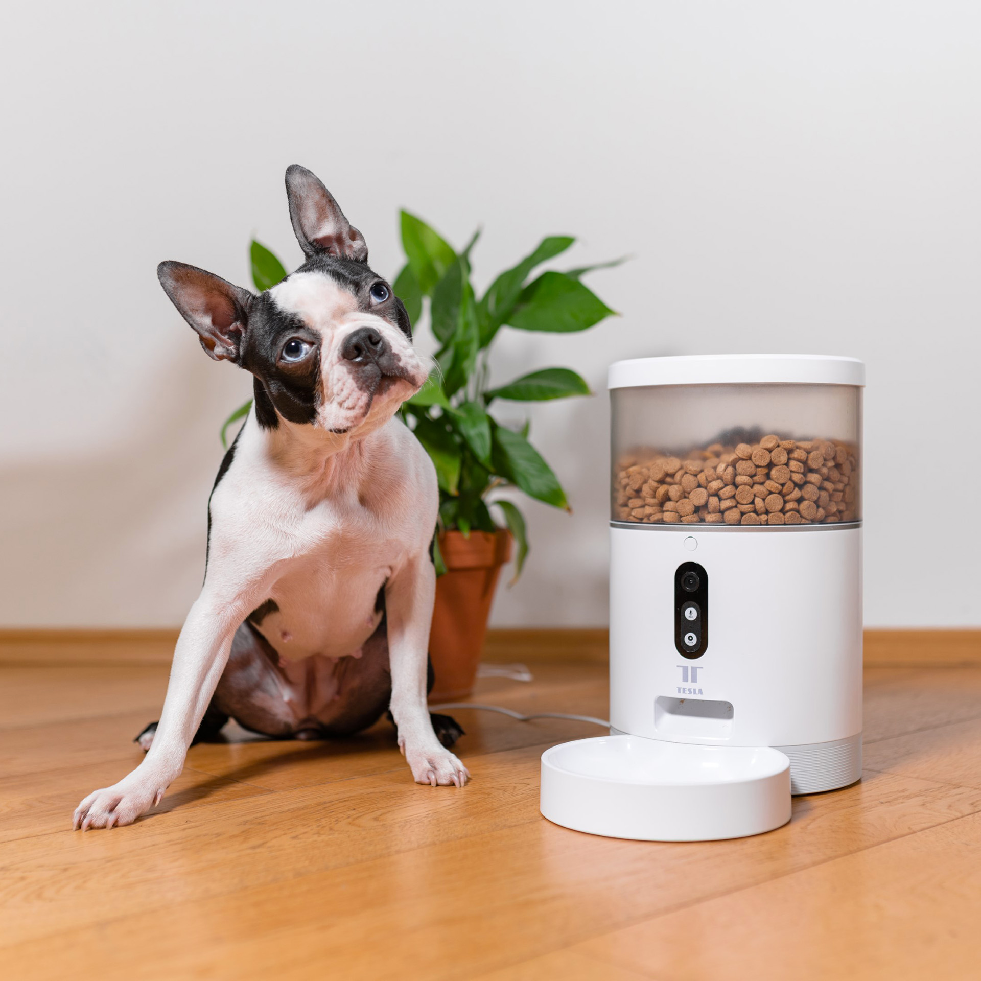 Chytrý dávkovač granulí Tesla Smart Pet Feeder Camera