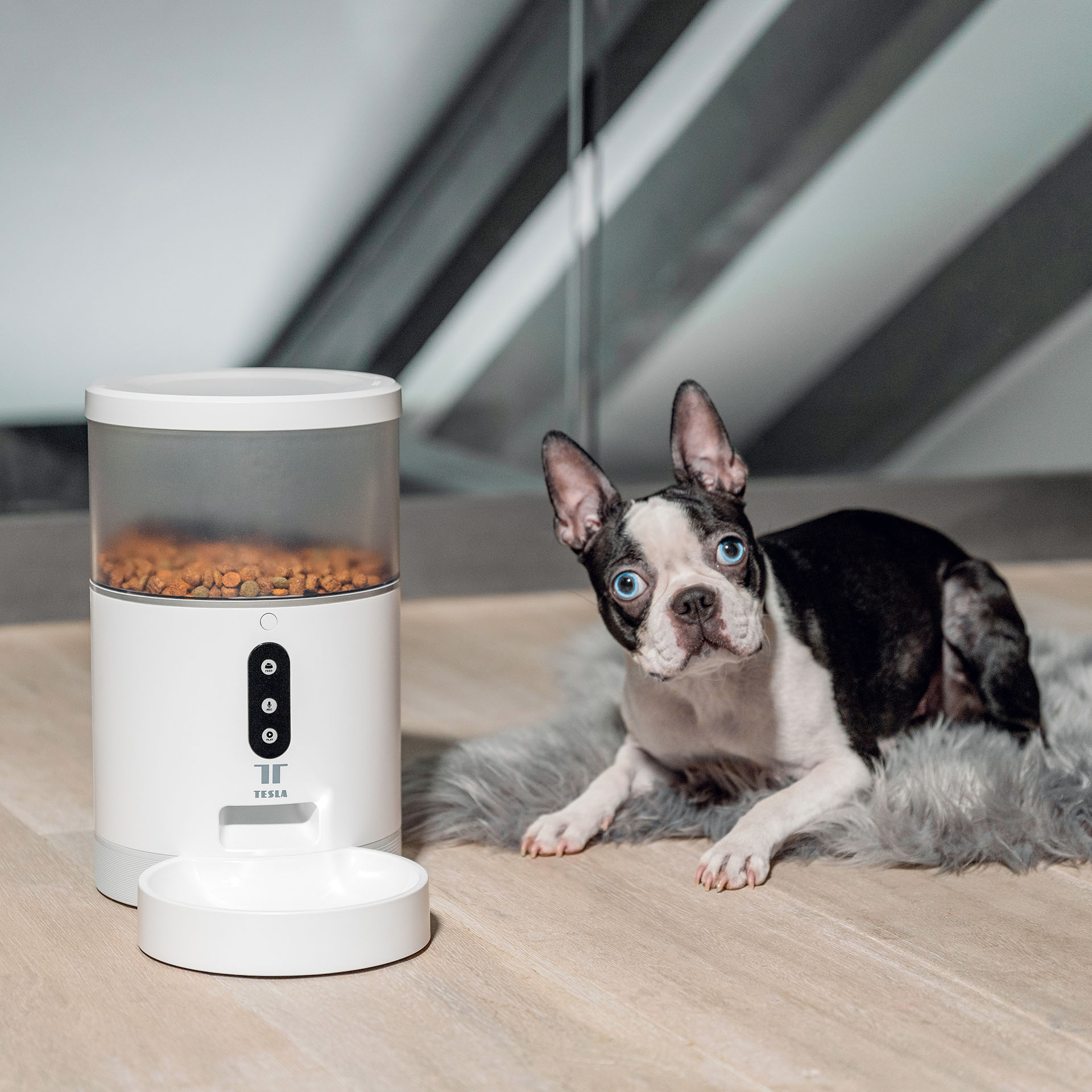 Chytrý dávkovač granulí Tesla Smart Pet Feeder