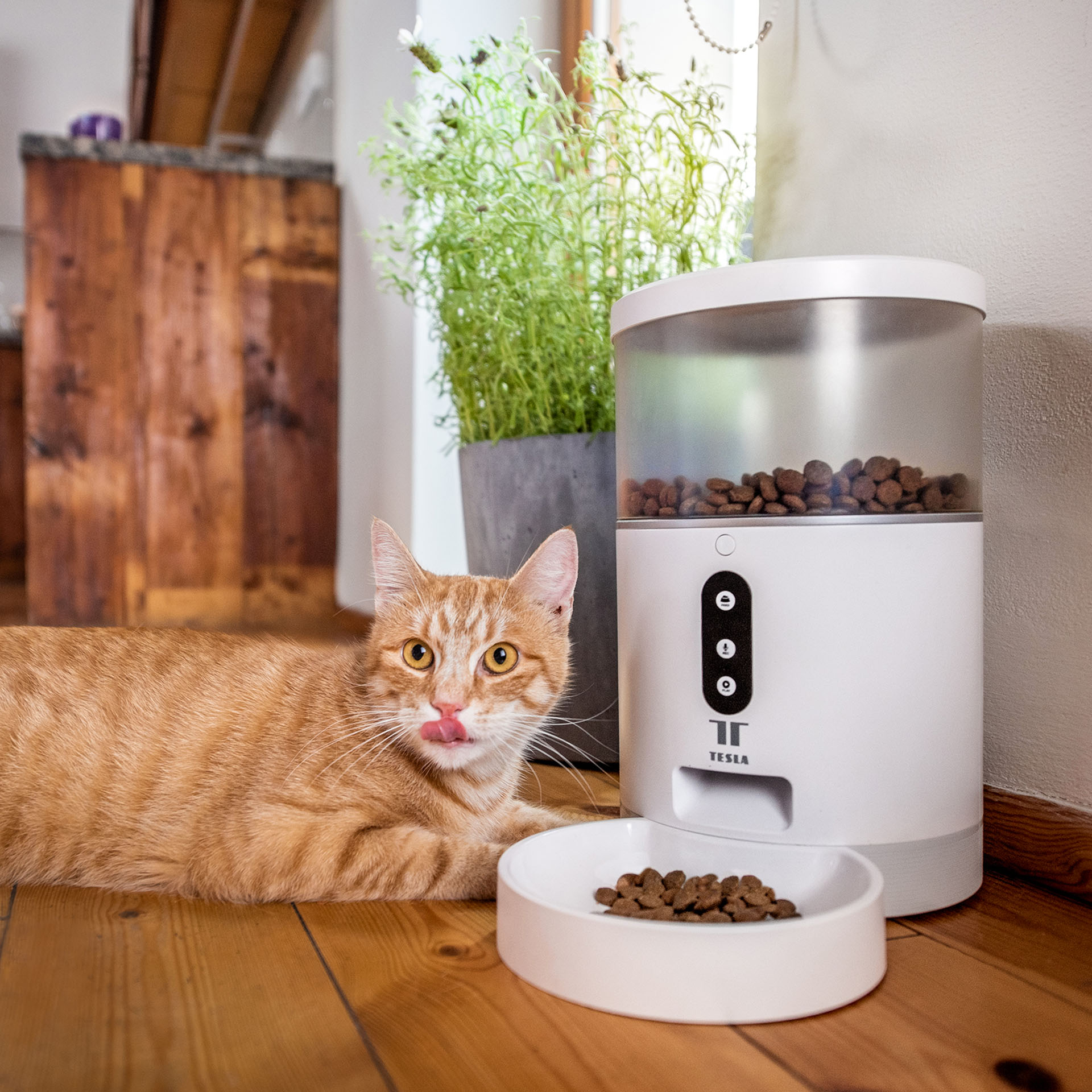 Chytrý dávkovač granulí Tesla Smart Pet Feeder