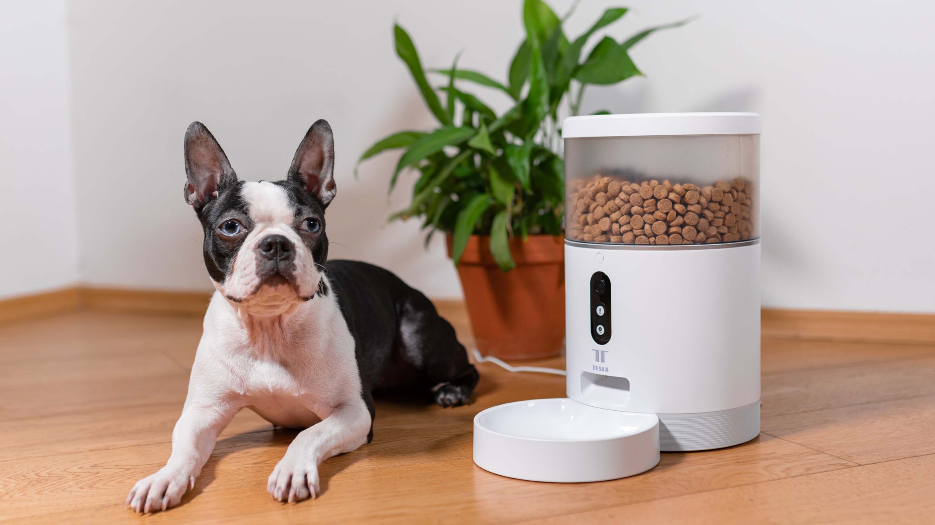 Chytrý dávkovač granulí Tesla Smart Pet Feeder Camera