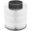 Tesla Smart Air Purifier Mini Filter