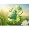 GREEN TEA parfem 05
