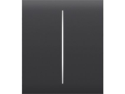 Render – Ajax CenterButton 2 gang – graphite – center