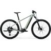 MERIDA eBIG.NINE 675 Matt Early Moss Grey(Green) (Velikost S)