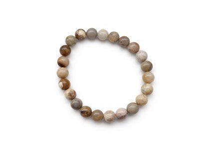 C6C2992D 252D 4C0D 9A88 4C9683F2D30F