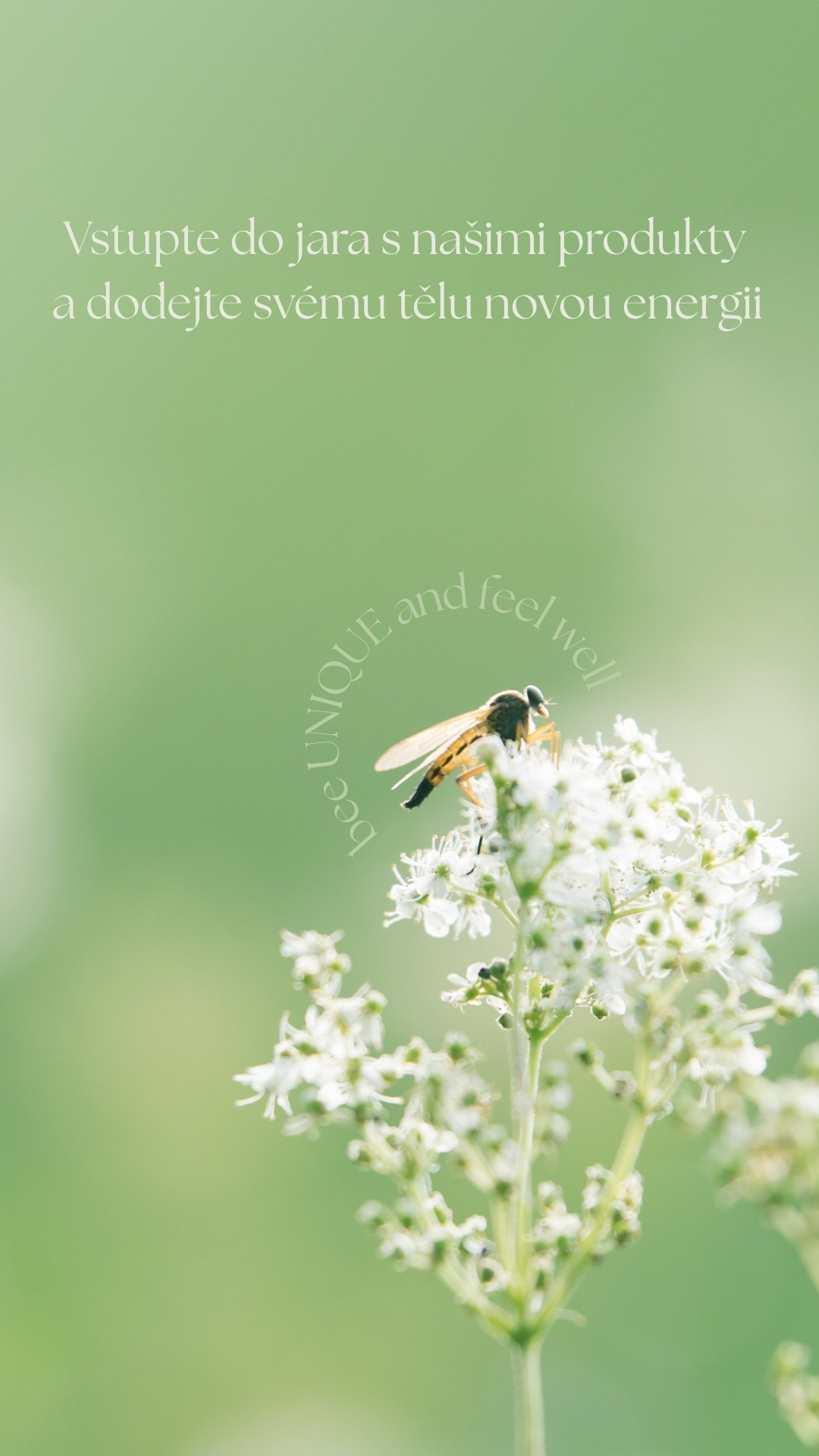BEE UNIQUE mobil CZ