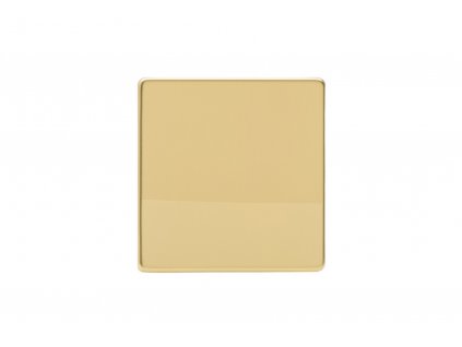 blank XDVSBS screwless polished brass