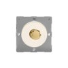 Luxusní stmívač Rotační stmívač DIMMER - 1-modulový schodišťový (č.6) 0-120 W (max 10 LEDs) 1.74A 1-pólový LED MODULÁRNÍ - matně bílá / leštěný mosazný knoflík, Z1EGTP1YV.MW