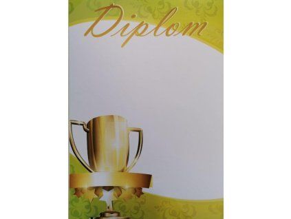 DI 55