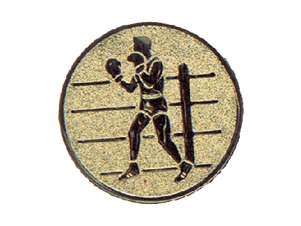 Kovový emblém ⌀ 2,5 cm, box