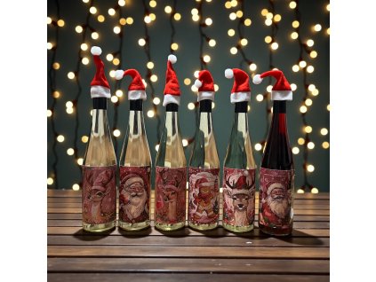 Photoroom 20251207 180230