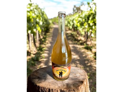 Photoroom 20250227 230426