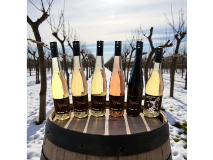 Screenshot 2026 01 29 21 23 06 541 com.photoroom.app~2 (1)