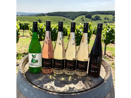 Photoroom 20260316 193729