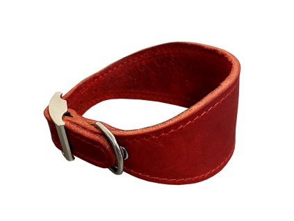 Kožený obojek VIPET - Červená (varianta Červená - 50mm x 42cm /33-39/ 00123V)