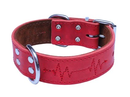 Kožený obojek EKG - Červená (varianta Červená - 40mm x 60cm /42-52/ 07162E)