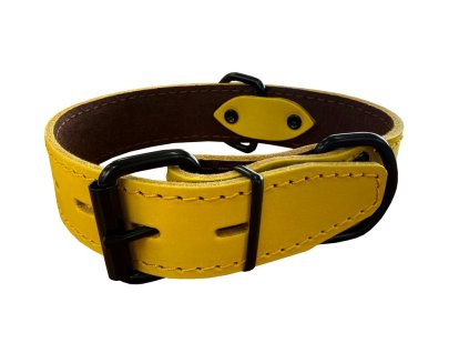 Obojek HERRY, obšitý, černé kování - Žlutá (varianta Žlutá - 35mm x 50cm /35-45/ 07100AB)