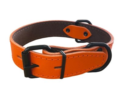 Obojek HERRY, obšitý, černé kování - Oranžová (varianta Oranžová - 35mm x 55cm /40-50/ 07101AB)