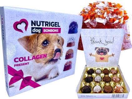 Návrh bez názvu (41)