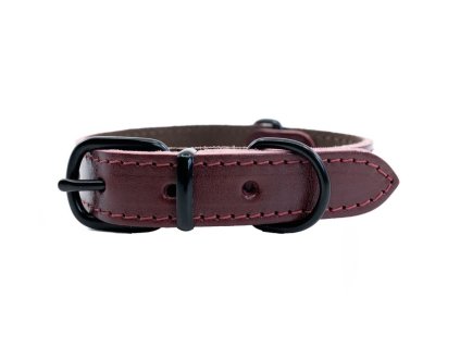 Kožený obojek ARGUS, černé kování - Bordó (varianta 20mm x 45cm /34-41/)