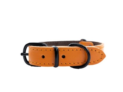 Kožený obojek ARGUS, černé kování - Oranžová (varianta 20mm x 45cm /34-41/)