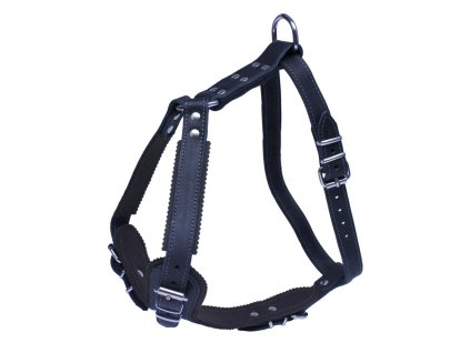 Kožený postroj JAGO s náprsenkou - Černá (varianta Černá - 25mm x OK 67-87cm, OH 101-115cm, 07510A)