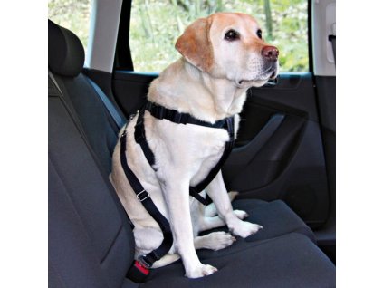 Nobby bezpečnostní postroj XL pro psa do auta