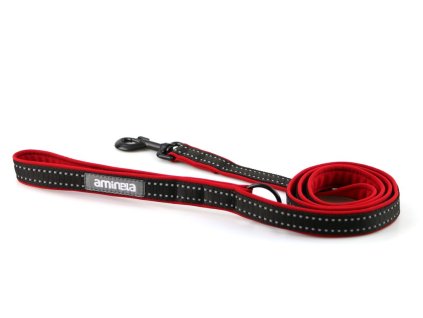 ccce0857f73a60ecfee04971b61c7bd7