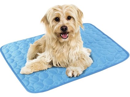 0b1a1a9441e6437ab7b7abcabd570635