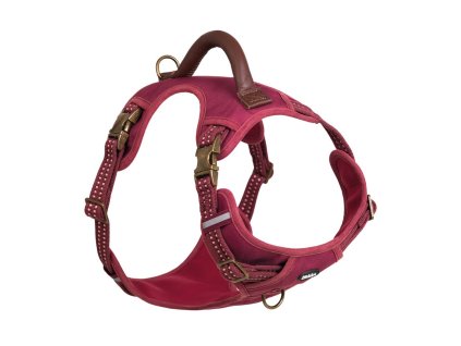 1b3b3e4ac3259139c0edca9313613202