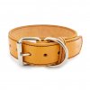 Kožený obojek STUBBY | mustard (Šířka 2,5 cm, Obvod krku 25 - 35 cm)