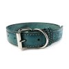 Kožený obojek STUBBY | tyrkysový (Šířka 2,5 cm, Obvod krku 25 - 35 cm)