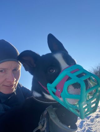 Jeden pozdrav od Macháčka. Je to takový naše mimino, 35 kg lásky, strachu, co občas neovládá svoje emoce a zapomene, že...