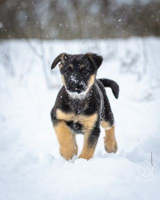 Tady je deset krasavců a krasavic od Aurelie. Fleur, Filoména, Fabiola, Flora, Francesca, Filipa, Fatima, Freya, Fester a...