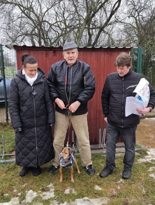 Ruďánek našel báječný domov. Je s novým páníčkem moc spokojený, vlastně to vypadá, že spolu žili odjakživa 🩷 Moc děkujeme...