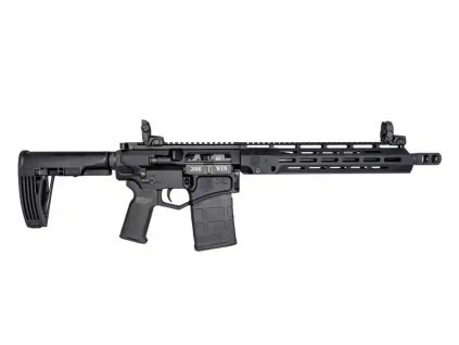 dd 308 win.