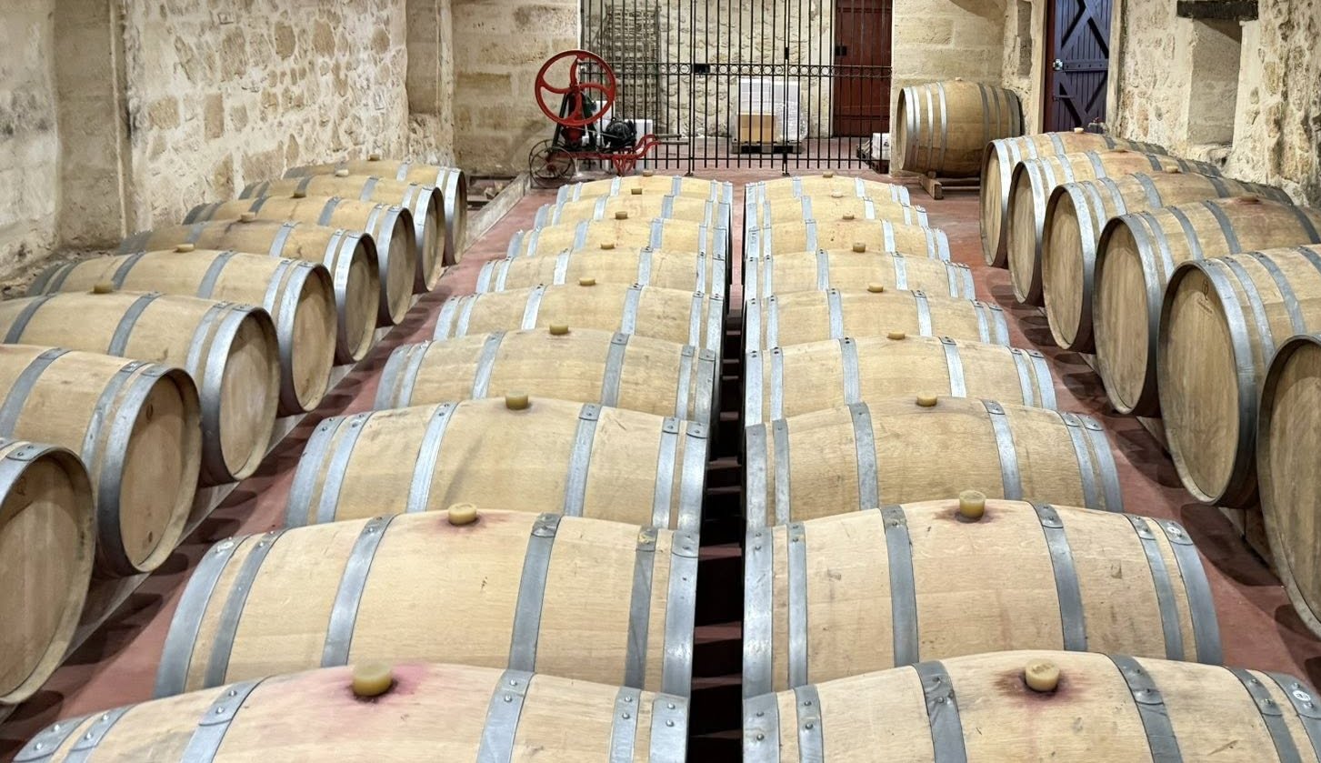 Reportáž z Bordeaux: 5 dní ve světě vína