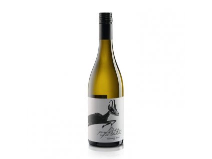 sauvignon blanc gams
