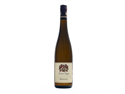 ACHAM MAGIN 2019 Riesling gutswein (1)