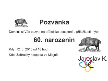 Pozvánka narozeniny DL