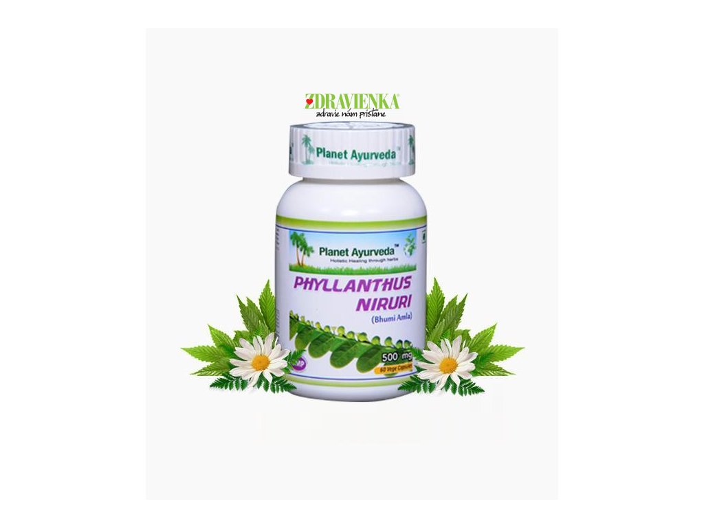 Kapsule Chanca Piedra – Phillanthus Niruri – čisto prírodný produkt známy ako drtič kameňov - shop.zdravienka.sk