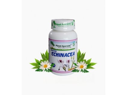 indian echinacea kapsule - Dýchacie cesty, regenerácia po chorobe, imunita - shop.zdravienka.sk