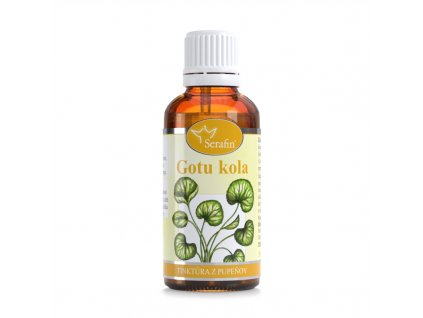 gotu kola  - tinktúra z pupeňov serafin