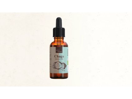 čaga chaga tinktura