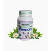 indian echinacea kapsule - Dýchacie cesty, regenerácia po chorobe, imunita - shop.zdravienka.sk