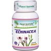 Indian Echinacea kapsuly 500mg - Planet Ayurveda
