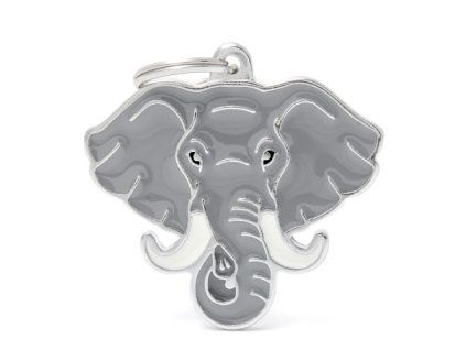 WILD ELEPHANT