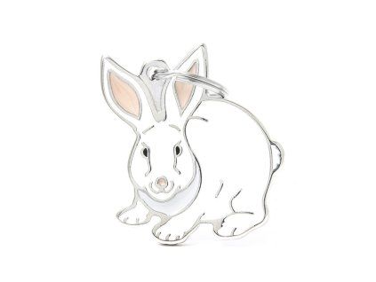 WILD RABBIT